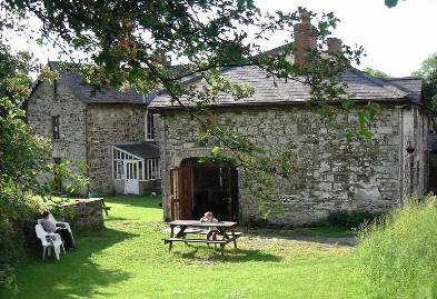 Davids Farm